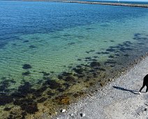 dji_fly_20230907_145510_293_1694102146992_photo_optimized Dronefoto, Kursuscenter Knudshoved, Nyborg