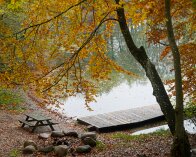 2025-11-02 11-27-46_021 E-M1MarkIII_DxO Hvidsø, Jystrup