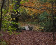 2025-11-05 10-20-26_005 E-M1MarkIII Skovhus Vænget