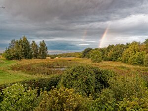 Naturen lige nu